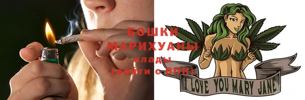 стаф Россошь