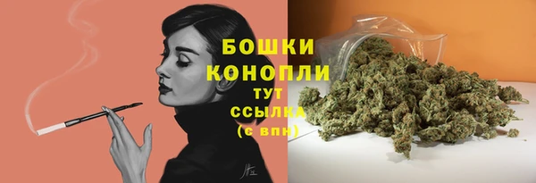 соль курить ск Рославль