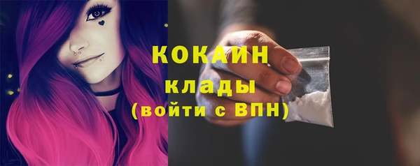 стаф Россошь