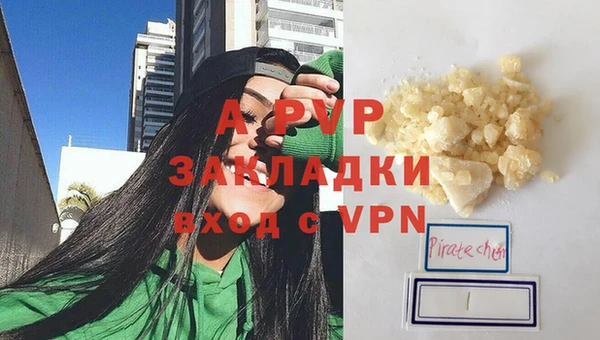 стаф Россошь
