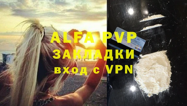 стаф Россошь