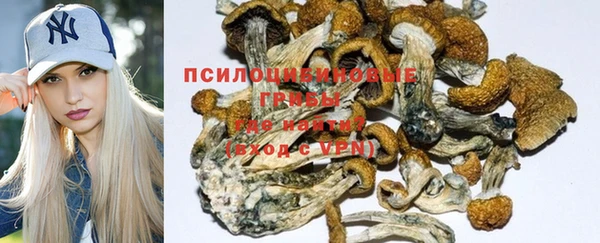 соль курить ск Рославль