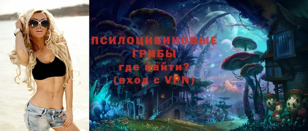 стаф Россошь