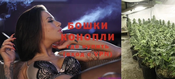 стаф Россошь
