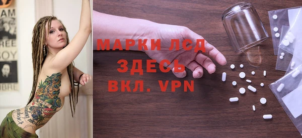 стаф Россошь