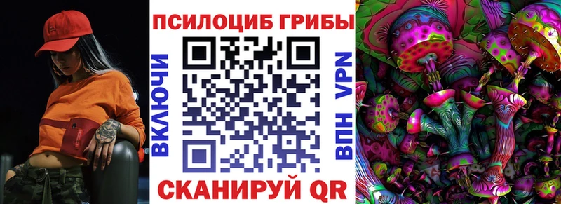 Галлюциногенные грибы прущие грибы  Сусуман 